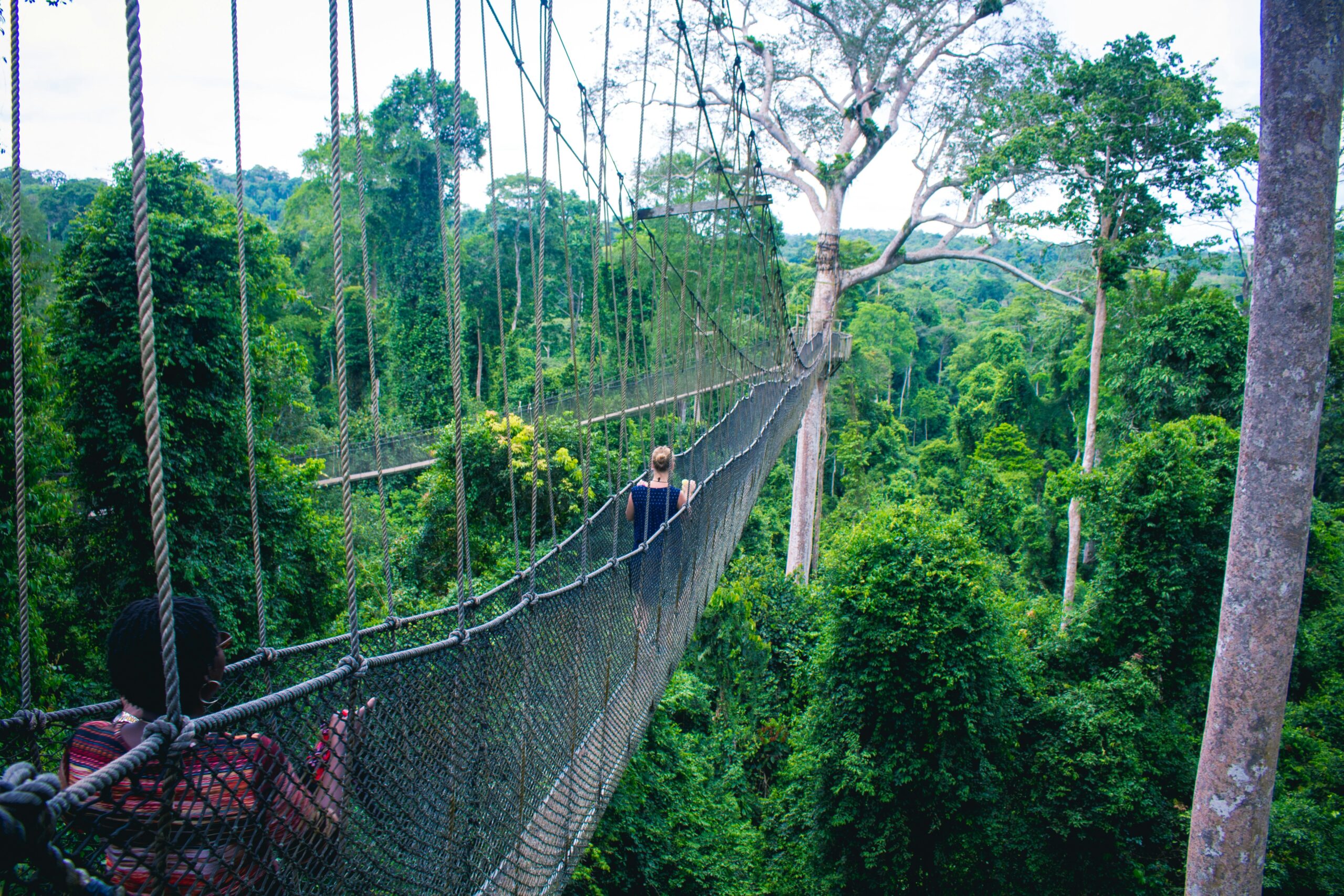 Kakum Canopy